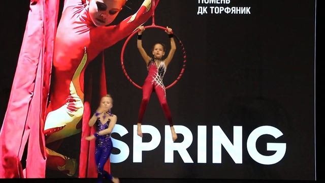 Студия воздушной гимнастики 