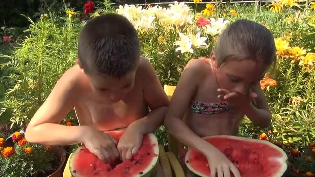 Кто же первый съест арбуз? смотреть онлайн