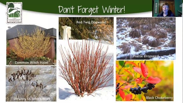 A Garden for All Seasons смотреть онлайн