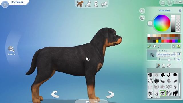 Creating a Rottweiler in The Sims 4 смотреть онлайн
