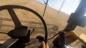 убираем рожь на комбайне Палессе GS-12