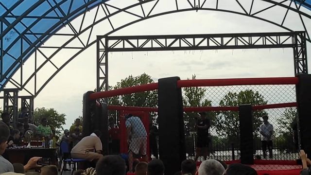 Смешанный бой.Октагон.#октагон смотреть онлайн