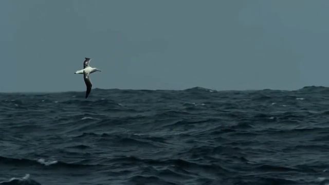 Особенности судостроения России