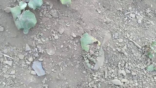 рыбалка на усолке