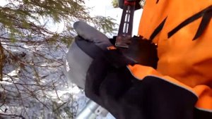 Работа в лесах Финляндии и Эстонии. Заточка диска триммера (бензокосы) Stihl FS 460 C