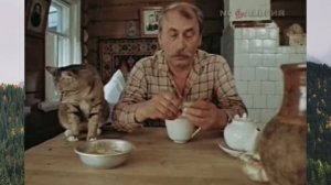 Разговор с котом
#кот #кошки