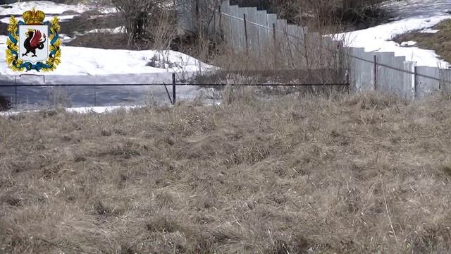 Почти корона шмурдильера