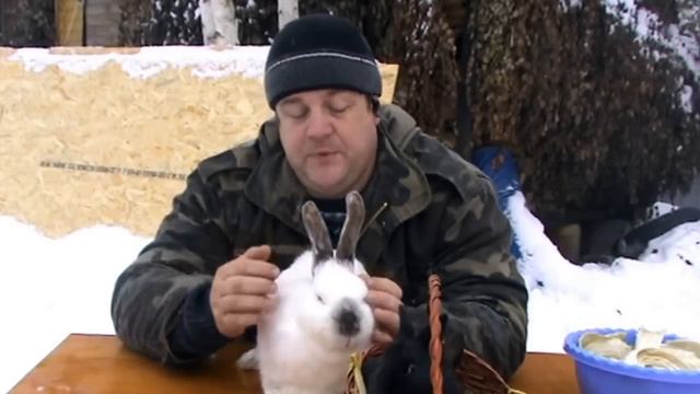 Для чего кролику УШИ кролиководство дача кролики смотреть онлайн