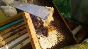 Что такое забрус и что такое перга.