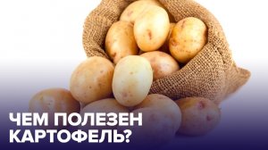КАРТОФЕЛЬ: чем полезен и когда вреден? Отвечает врач-диетолог