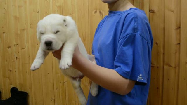 ОЕССЕНН СТИЛЬ УГУР 16 дней смотреть онлайн