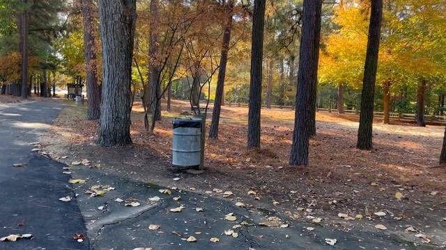Не думала, что здесь Такой Климат! Северная Каролина в Ноябре/ Семейный влог из Америки