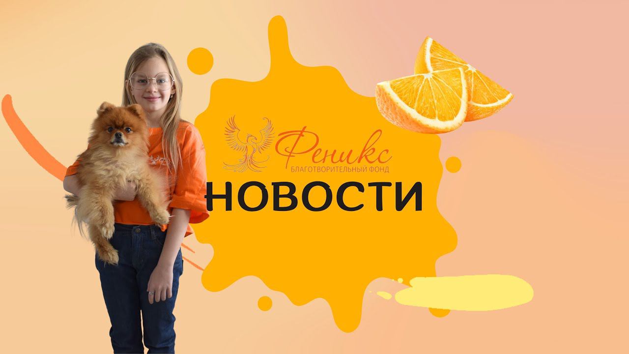 Новости декабря