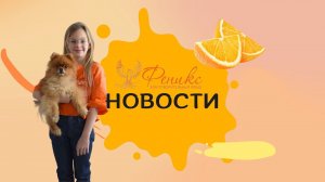 Новости декабря