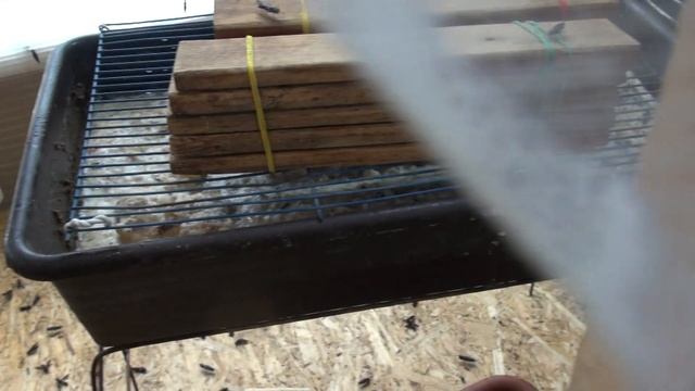 Разведение черной львинки. смотреть онлайн