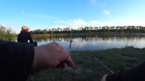 ? РЫБАЛКА НА КУБАНИ КРАСНОДАР (ЛОВ КАРАСЯ)??? РЫБАЛКА2020