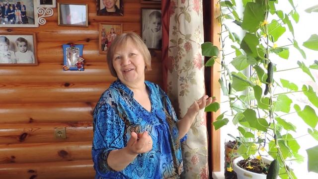 Праздник первого огурца смотреть онлайн