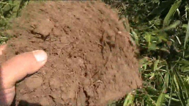 Коп по старым тропам серебреный браслет и немного мелочи смотреть онлайн