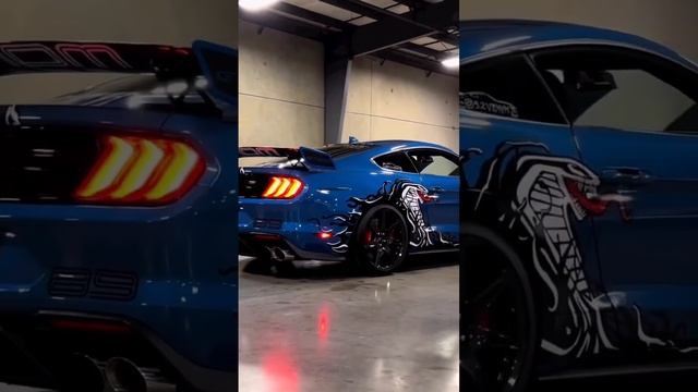 Shelby GT500 Exhaust Pops ?️