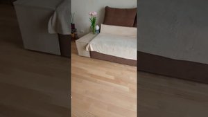 Прыжок! Декоративный кролик Шушель