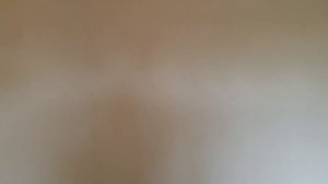 Алекс Брежнев. Опровержение мифов Алекса Брежнева. Миф 1. Дом обычного американца.