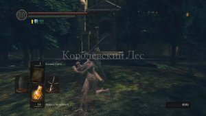 Как спасти щенка Сифа в Dark souls