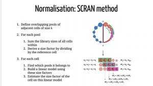 GTN Smörgåsbord - Day 3 - Introduction to Single-Cell RNA-seq