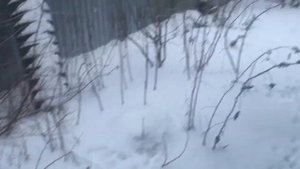 Обшил курятник экологичным ПЭТ профлистом ЭКОПЛАСТ. Что с ним стало через 3 месяца в минус семь.