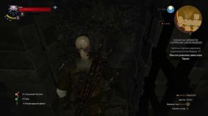 Ведьмак 3 Гайд где найти снаряжение Школы Медведя