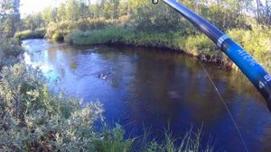 На рыбалке / Кольский полуостров / По малой реке за форелью