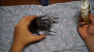 Чистка оружия. Ударно спусковой механизм МР  18 ИЖ  18