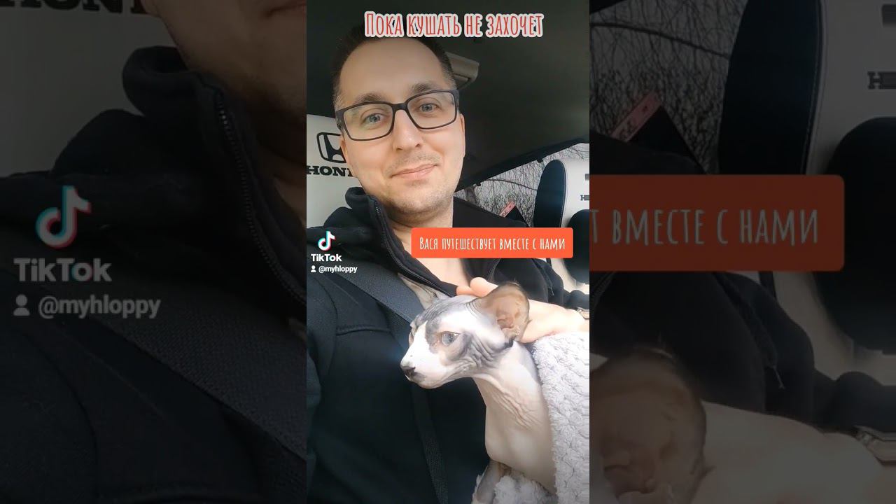 позвали с собой кота Васю