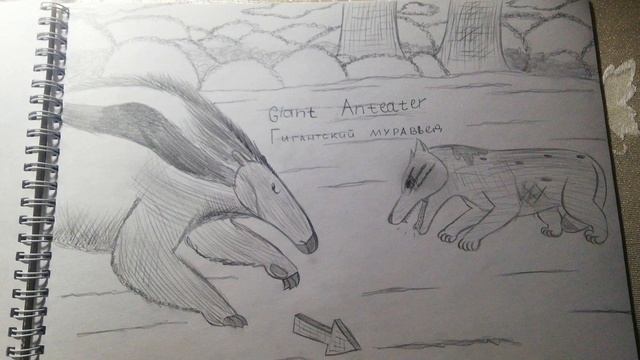 Real Animal Battle 3 : Giant Anteater VS African Wild Dog/Гигантский Муравьед VS Гиеновидная Собака смотреть онлайн