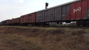 РЖД ТЕПЛОВОЗ 2ТЭ116-1424 С ГРУЗОВЫМ ПОЕЗДОМ С ПРЕВЕТЛИВЫМ МАШИНИСТОМ