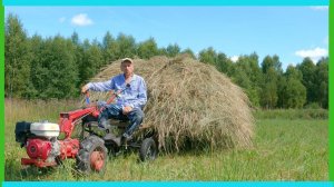 Колесим с "Беларусом" - заканчиваем сенокос и про будущее здесь! Жизнь в деревне