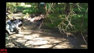 Луаз против квадроцикла