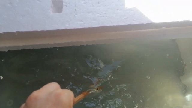 Простая домашняя гидропоника. Гидропоника по методу Кратки
