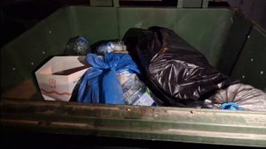 Штрэбух зарылся в помойке на СТРИМЕ и рычал там 3 минуты