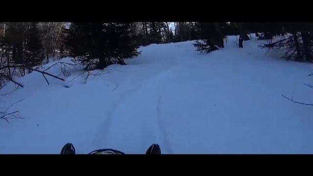 Белокуриха 2 2020г смотреть онлайн