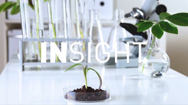 Insight reklama 4 смотреть онлайн