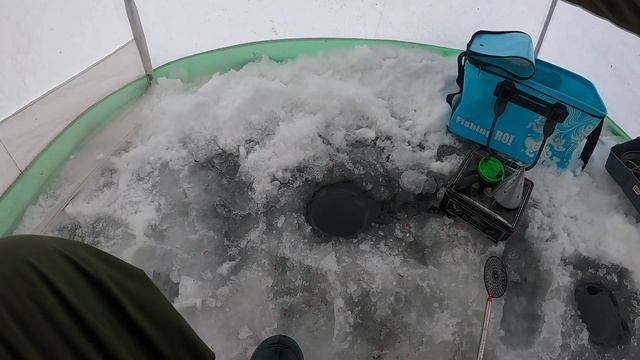 Печенежское вдхр. с.Хотомля(берёзки)Первый лёд.... смотреть онлайн