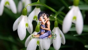 Иван Кучин. Пройдут года..mp4