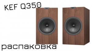 Распаковка Kef Q350