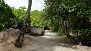 о. Тинаду (Thinadhoo, Vaavu) Мальдивы