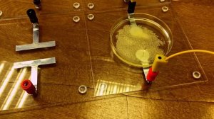 КАК УВИДЕТЬ ЭЛЕКТРИЧЕСКОЕ ПОЛЕ?