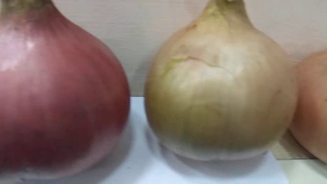 Екатеринбург! УРГАУ! Наука-САДОВОДАМ УРАЛА! ЛУК! Наяву размер ИХ ПОРАЖАЕТ! ВИДЕО никак ВСЕГО ЭТОГО смотреть онлайн