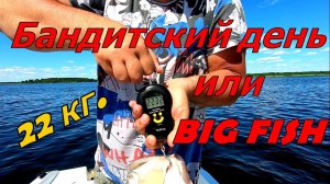 Рыба ГИГАНТ в 22 кг на спиннинг. Воблеры бандит рулят. Войдет ли BIG FISH в подсачек?
