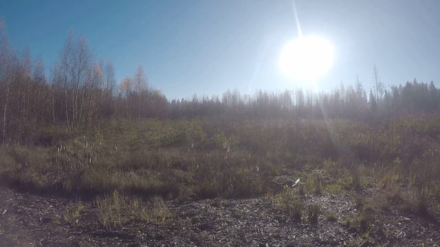 Поход к месту крушения самолета ИЛ-62 около Менделеево (Солнечногорский р-н Мос. области)