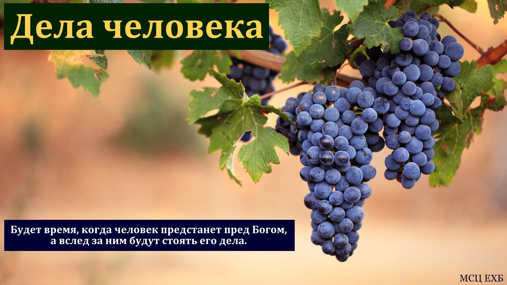 "Дела человека". В. Дорошенко. МСЦ ЕХБ
