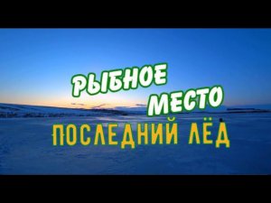 Классные поклевки на последнем льду. Крупный окунь и плотва радует своими размерами.